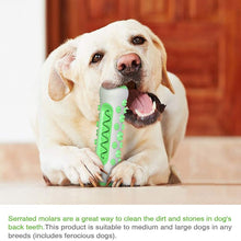 Load image into Gallery viewer, Pet Dog Bone Shape Molar Teeth Cleaner Brushing Stick Interactive Chew Toy