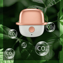 Load image into Gallery viewer, Personal Wearable Air Purifier Necklace 50 Million Mini Portable Air Freshener Ionizer Negative Ion Generator