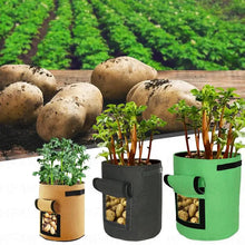 Load image into Gallery viewer, Potato Plant Grow Bags Nonwoven Fabric Pot Greenhouse Vegetable Growing Moisturizing Home Garden Tools