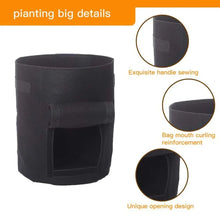Load image into Gallery viewer, 3PCS Felt Plant Grow Bags Nonwoven Fabric Garden Potato Pot Greenhouse Vegetable Growing Bags Moisturizing Vertical Tools