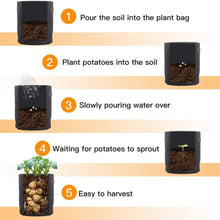 Load image into Gallery viewer, 3PCS Felt Plant Grow Bags Nonwoven Fabric Garden Potato Pot Greenhouse Vegetable Growing Bags Moisturizing Vertical Tools