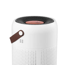 Load image into Gallery viewer, Air Purifier with True HEPA Filters Adjustable Modes Protable for Living Room Office Bathroom Desktop Household
