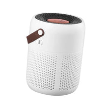 Load image into Gallery viewer, Air Purifier with True HEPA Filters Adjustable Modes Protable for Living Room Office Bathroom Desktop Household