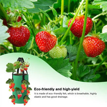 Load image into Gallery viewer, Strawberry Grow Bag Hanging Plant Bag 12 Multi Port Impermeable Strawberry Vanilla Tree Planting Bag Gardening Seedlings Growing