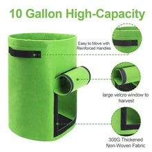 Load image into Gallery viewer, 3PCS Felt Plant Grow Bags Nonwoven Fabric Garden Potato Pot Greenhouse Vegetable Growing Bags Moisturizing Vertical Tools
