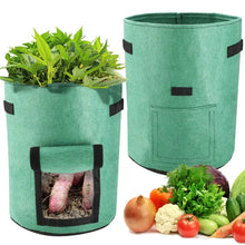 Load image into Gallery viewer, 3PCS Felt Plant Grow Bags Nonwoven Fabric Garden Potato Pot Greenhouse Vegetable Growing Bags Moisturizing Vertical Tools