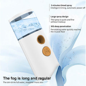 Portable Nano Moisture Meter USB Rechargeable Large Spray Steam Facial Instrument Moisture Meter Humidifier