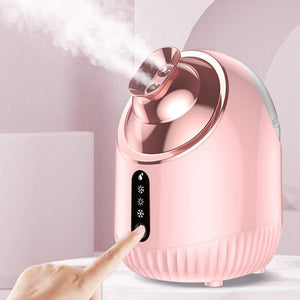 Face Steamer Nano Double Spray Facial Moisturizing Instrument Household Beauty Instrument Moisturizing Cleaning Skin Care Tools