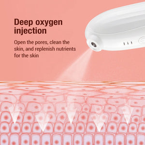 Nano Oxygen Injector Facial Moisturizing Beauty Apparatus Rejuvenate Skin Clean Pores Promote Absorption Skin Care USB Charging