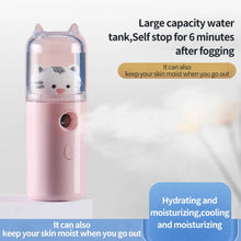 Load image into Gallery viewer, Cute Cat Nano Mist Facial Sprayer Beauty Instrument USB Humidifier Rechargeable Nebulizer Face Steamer Moisturizing Beauty Tool