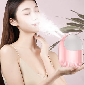 Face Steamer Nano Double Spray Facial Moisturizing Instrument Household Beauty Instrument Moisturizing Cleaning Skin Care Tools