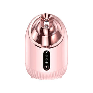 Face Steamer Nano Double Spray Facial Moisturizing Instrument Household Beauty Instrument Moisturizing Cleaning Skin Care Tools